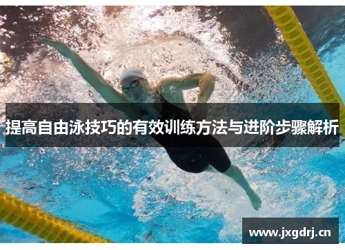 提高自由泳技巧的有效训练方法与进阶步骤解析
