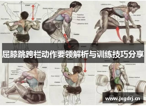 屈膝跳跨栏动作要领解析与训练技巧分享